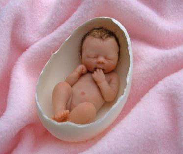 bébé/d'oeuf